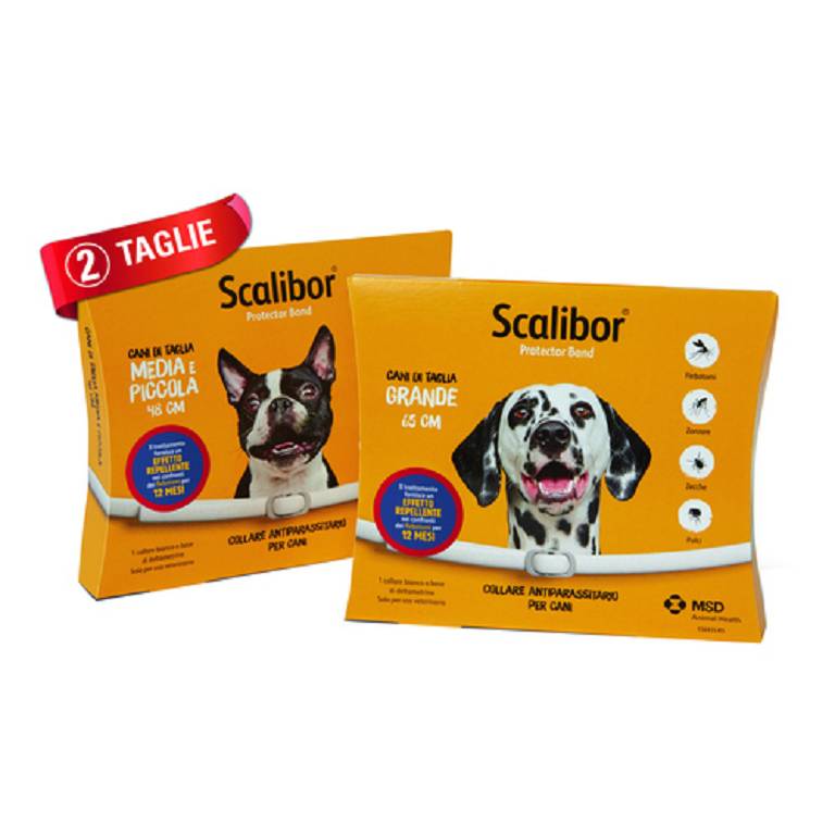 SCALIBOR PROTECTOR BAND*BI48CM SCALIBOR PROTECTOR BAND*BI48CM