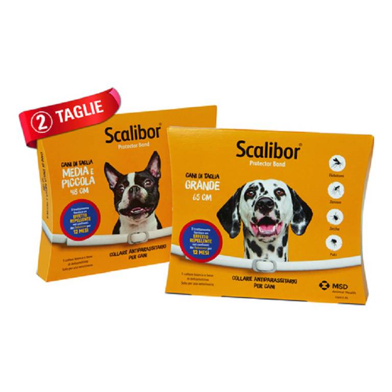 SCALIBOR PROTECTOR BAND*BI65CM SCALIBOR PROTECTOR BAND*BI65CM